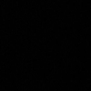 Meet your Posher, Auston